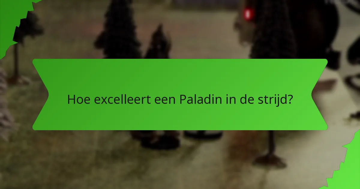 Hoe excelleert een Paladin in de strijd?